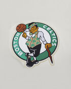 PRO STANDARD Boston Celtics Retro Classic Fleece Pull Over Hoodie BBC555844-EKG cream 4