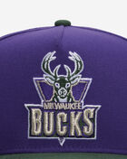 New Era 9Fifty Milwaukee Bucks A-Frame Snapback Hat 71031585 Purple 2