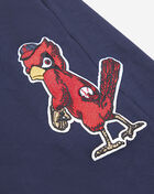 St. Louis Cardinals Classic Chenille Double Knit Jogger 