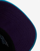 Charlotte Hornets Puff the Magic Trucker