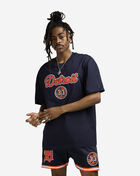 Detroit Tigers Area Code Tee
