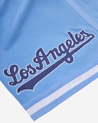 PRO STANDARD Los Angeles Dodgers Classic Chenille Double Knit Short LLD331605-UNI Blue 4
