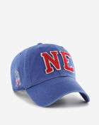 New England Patriots Dad Cap