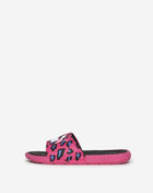 Pre-School Cool Cat Summer Roar Bx