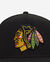 9Ffity Chicago Blackhawks A-Frame Basic Snapback Hat 