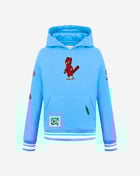 PRO STANDARD Big Boys' St. Louis Cardinals Retro Classic Rib Fleece Pullover Hoodie LSCB5315097-UNI Blue 1
