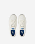 Big Kids' Dunk Low