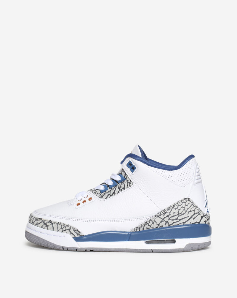 Air Jordan 3 Sport Blue