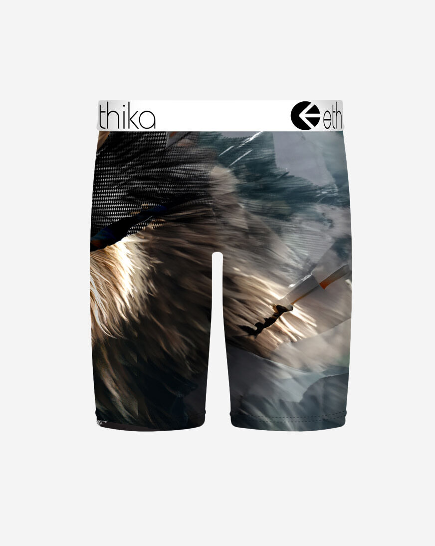 Shop Ethika Grizz Biz Briefs MFAAAI2503 multi | SNIPES USA