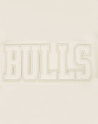 Chicago Bulls Neutral Cropped Fleece Pullover Hoodie