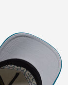 Charlotte Hornets Billboard 2.0 Snapback Hat