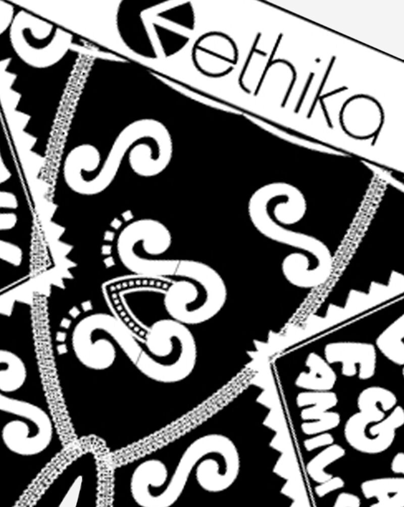 Ethika Grandeur Briefs MLUS3620 Multi 2