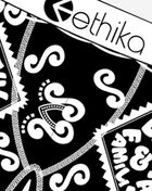 Ethika Grandeur Briefs MLUS3620 Multi 2