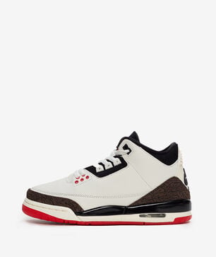 Big Kids' Air Jordan 3 "World's Best"