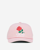 Have A Nice Day Hat
