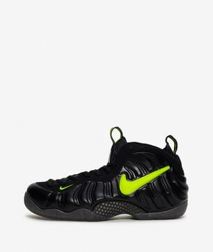 Air Foamposite Pro