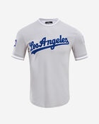 PRO STANDARD Los Angeles Dodgers Classic Chenille Double Knit Tee LLD131900-GRY Grey 1