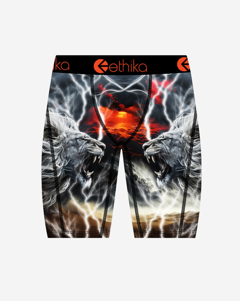 Ethika Grade School Lion Strike Briefs BLST3619 Multi 1