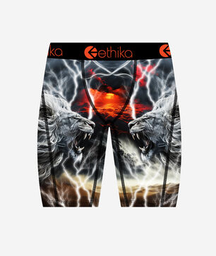 Grade School Lion Strike Briefs