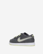 Little Kids' Dunk Low