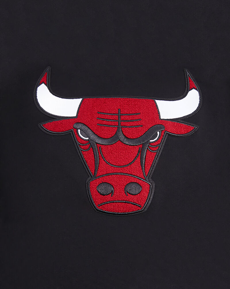 PRO STANDARD Chicago Bulls Retro Classic Fleece Pull Over Hoodie BCB556008-BRK Black 4