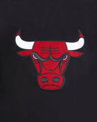 PRO STANDARD Chicago Bulls Retro Classic Fleece Pull Over Hoodie BCB556008-BRK Black 4