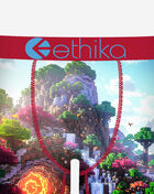 Ethika Block Bound Briefs MSPAAD2608 Multi 2