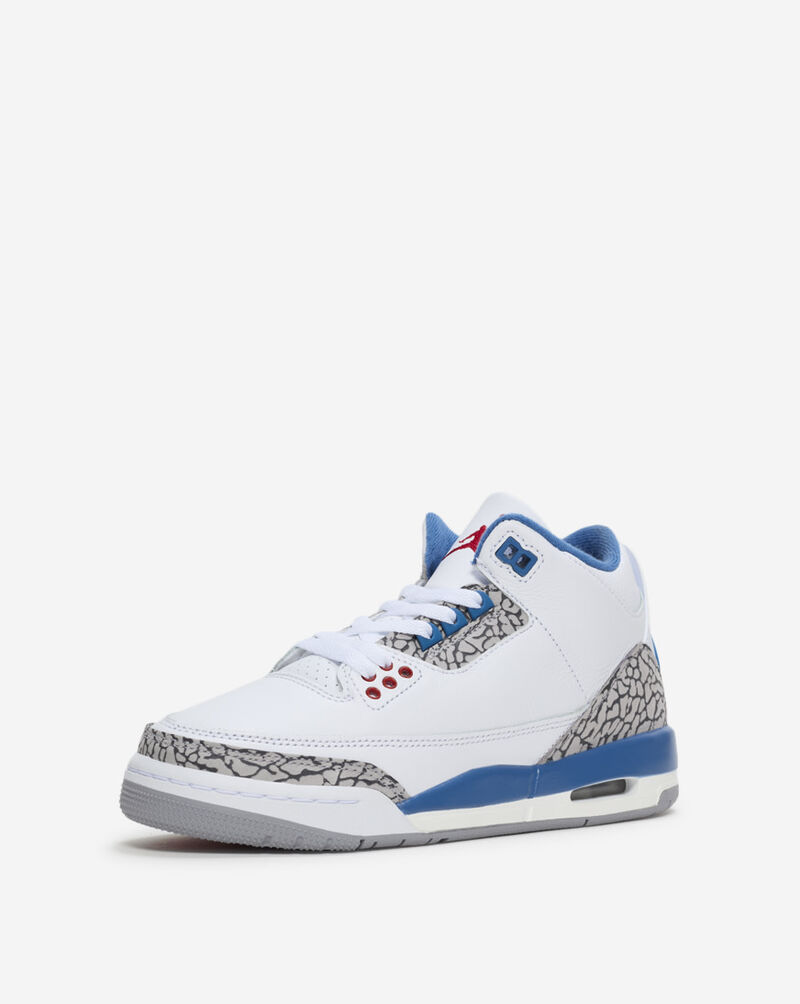 Jordan Big Kids' Air Jordan 3 Retro "True Blue" DM0967-104 White 2