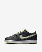 Nike Big Kids' Dunk Low HQ3569-068 Black 1