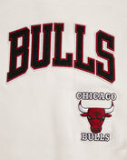 PRO STANDARD Chicago Bulls Retro Classic Fleece Crewneck BCBC56222-ERD cream 2