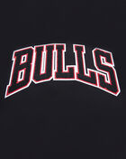 PRO STANDARD Chicago Bulls Retro Classic Double Knit Tee BCB156011-BRK Black 4