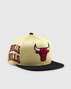 Chicago Bulls Omni Branded Snapback