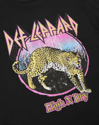 Grade School Def Leppard Tee