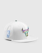 Chicago Bulls 9Fifty Iridescent Logo Snapback