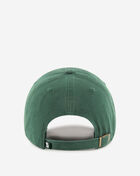 Michigan State Dad Cap