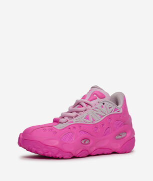 La Franc&eacute; RNR