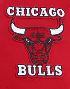 PRO STANDARD Chicago Bulls Retro Classic Double Knit Tee BCB156011-RBK Red 2
