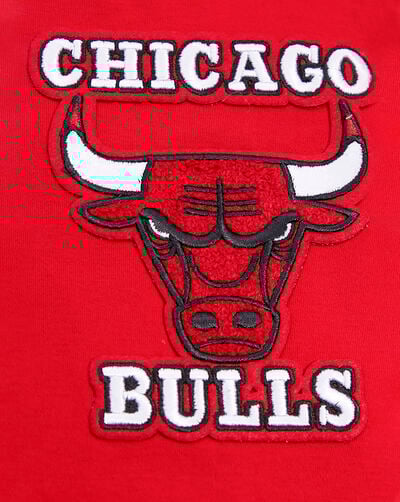 Chicago Bulls Retro Classic Double Knit Tee Chicago Bulls Retro Classic Double Knit Tee