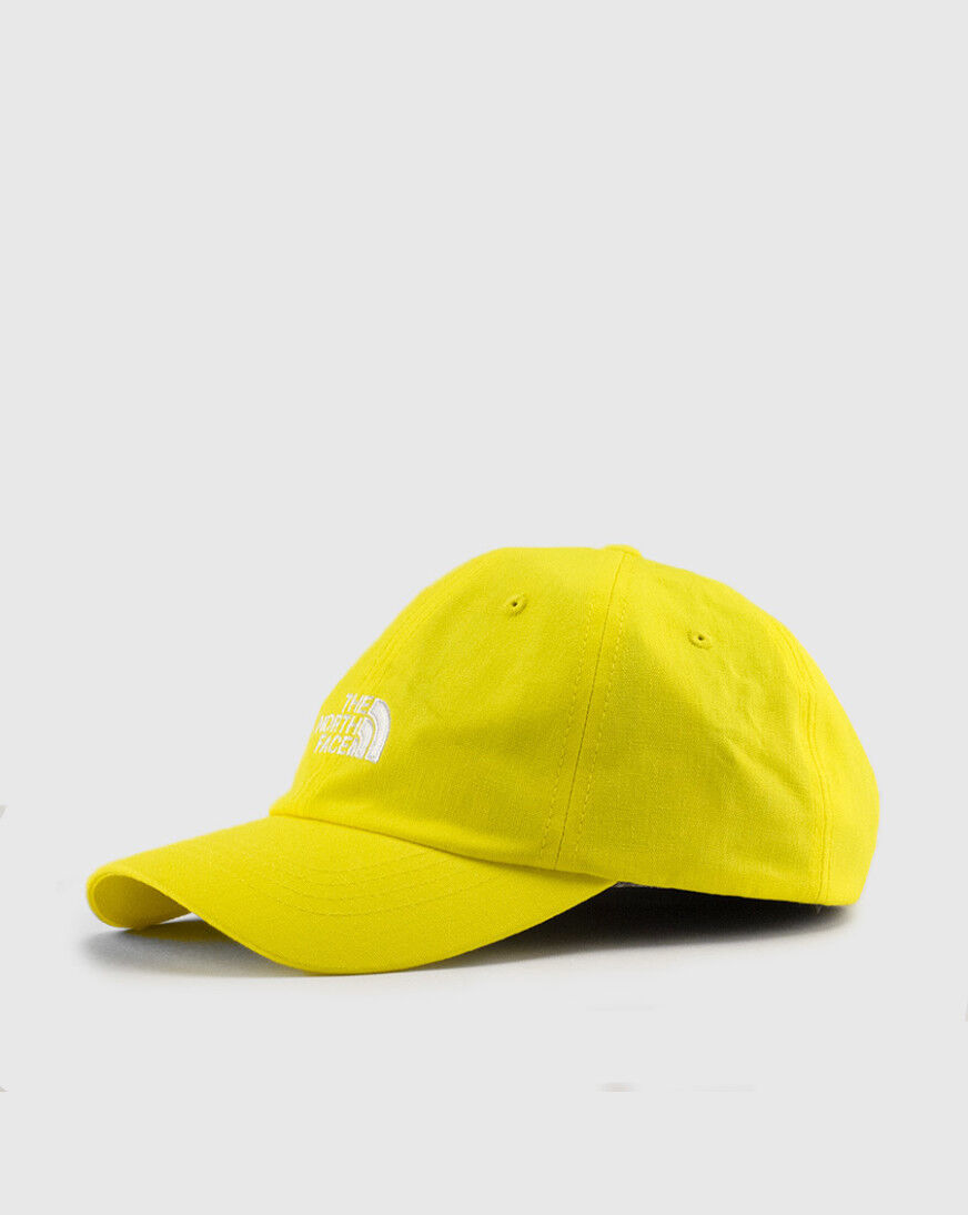 north face flashdry hat