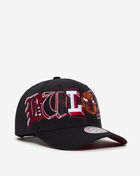 Chicago Bulls Hyper Type Pro Crown Snapback Hat