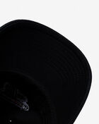 Atlanta Falcons Dad Cap
