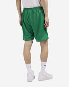 Boston Celtics Mesh Practice Shorts