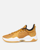 Nike PG 5 CW3143-700 Brown 1