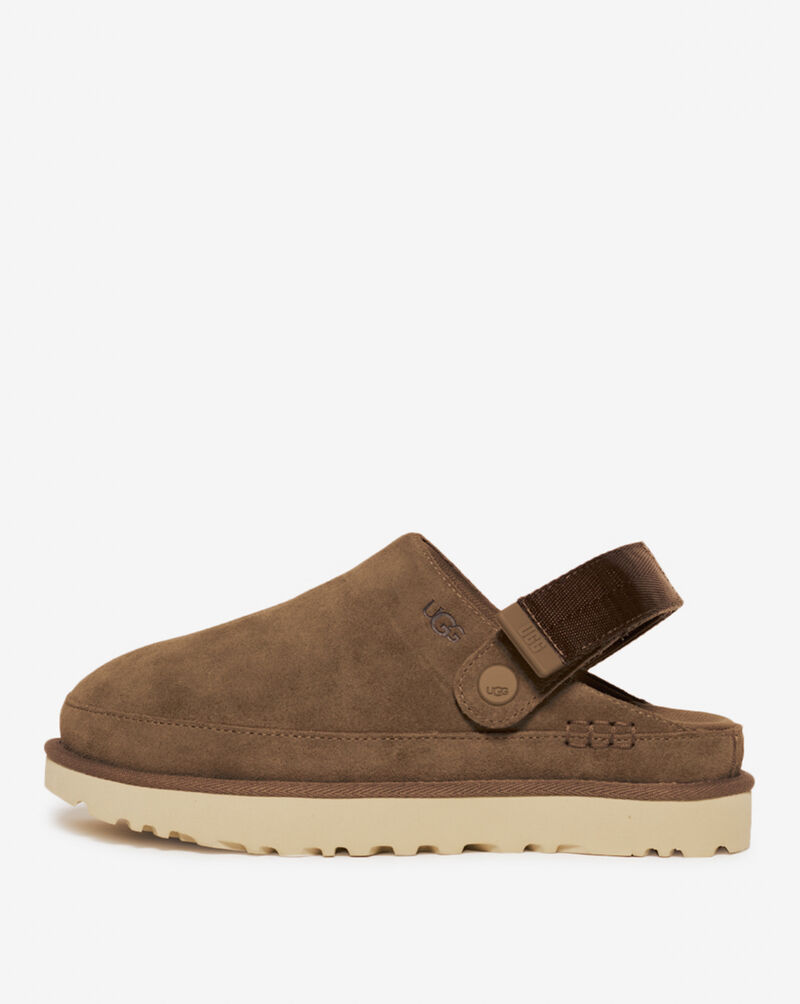 Goldenstar Clog