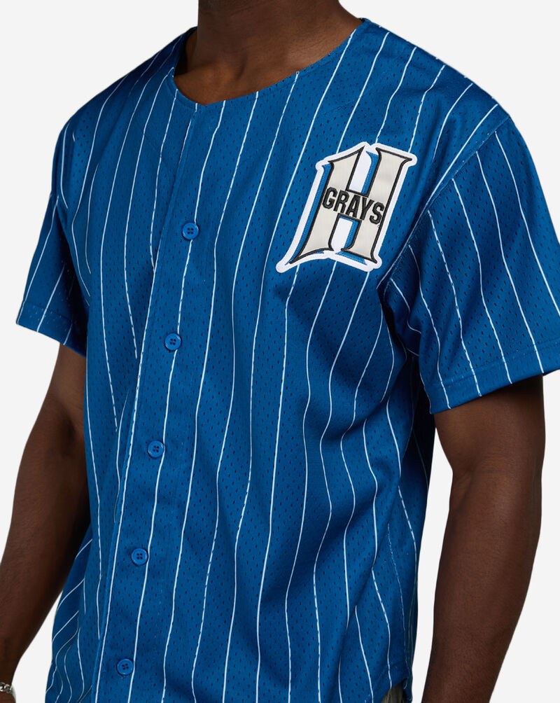 Mitchell  Ness Homestead Grays James Wood Authentic Batting Practice Pinstripes Jersey JY19303-HGRCBWH Blue 4