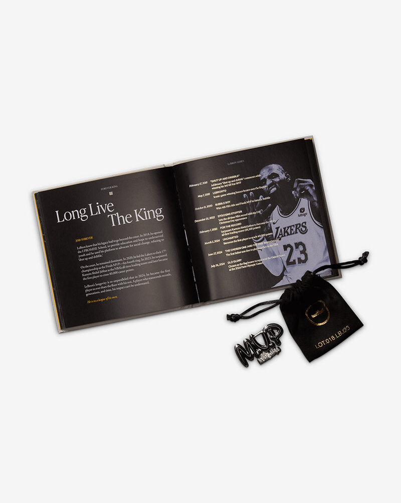 Nike LeBron XXIII "Bubble Boy" IF0694-002 Grey 9