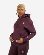 Reverse Weave Pullover Hoodie