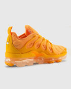 Air Vapormax Plus