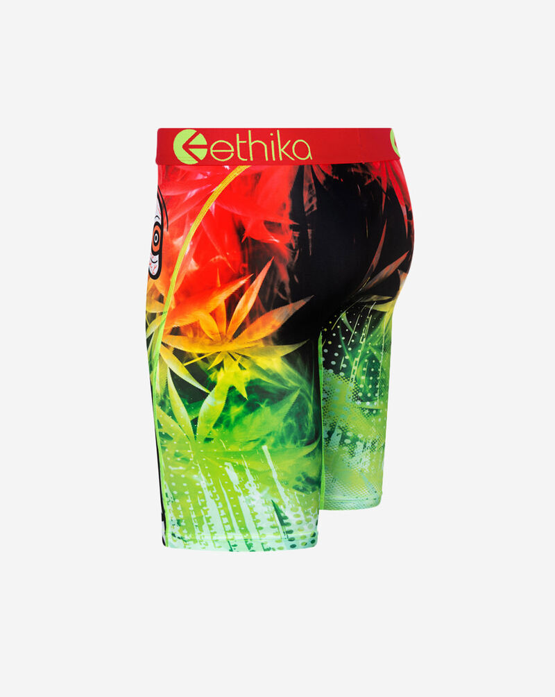Shop Ethika BMR High Briefs MLUS2247 multi SNIPES USA