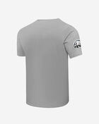 PRO STANDARD Philadelphia Eagles Classic Chenille Tee FPE1410195-GRY Grey 3